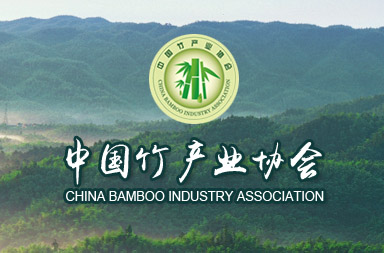 協(xié)會網(wǎng)站建設(shè)|企業(yè)網(wǎng)站建設(shè)